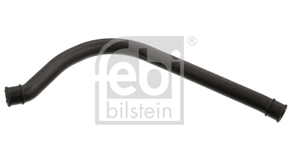 Hose, crankcase ventilation